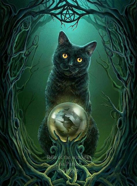 Little cat witch where to keep an eye on